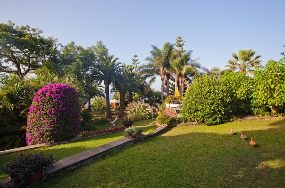 Finca Casa Vieja Hotel Santa Úrsula Exterior foto